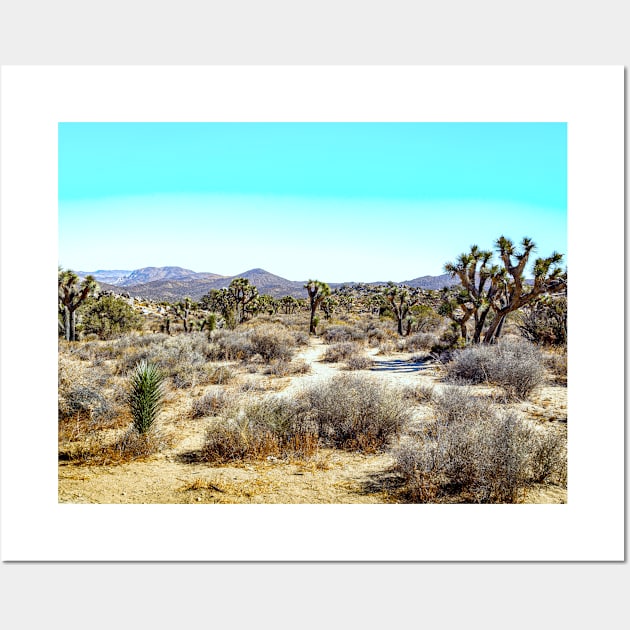 Joshua Tree National Park, California Wall Art by Gestalt Imagery